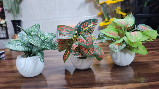 Hodor Designs Artificial Variegated Fern Potted Plant